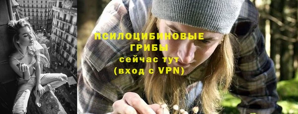 Альфа ПВП Алзамай